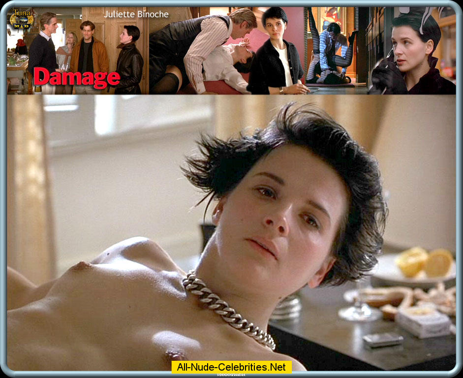 Juliette Binoche Damage